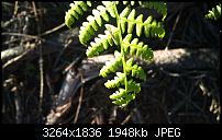 Der ultimative Kamera/Bilder Thread!-dsc_0040.jpg