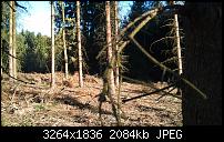 Der ultimative Kamera/Bilder Thread!-dsc_0043.jpg