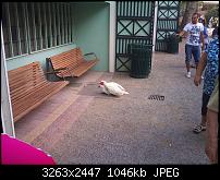 Der ultimative Kamera/Bilder Thread!-1280158337994.jpg