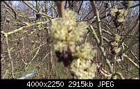 Fotos und Videos mit der Xperia S Kamera-dsc_0007.jpg