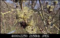 Fotos und Videos mit der Xperia S Kamera-dsc_0008.jpg