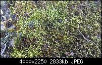 Fotos und Videos mit der Xperia S Kamera-dsc_0013.jpg