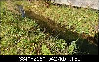 Sony Xperia XZ - Kamera Diskussionsthread-dsc_1359.jpg