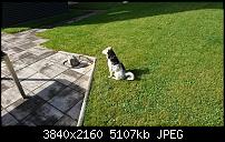 Sony Xperia XZ - Kamera Diskussionsthread-dsc_1353.jpg