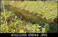 Sony Xperia XZ - Kamera Diskussionsthread-20161026_131448.jpg