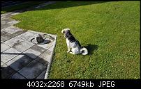 Sony Xperia XZ - Kamera Diskussionsthread-20161026_115915.jpg