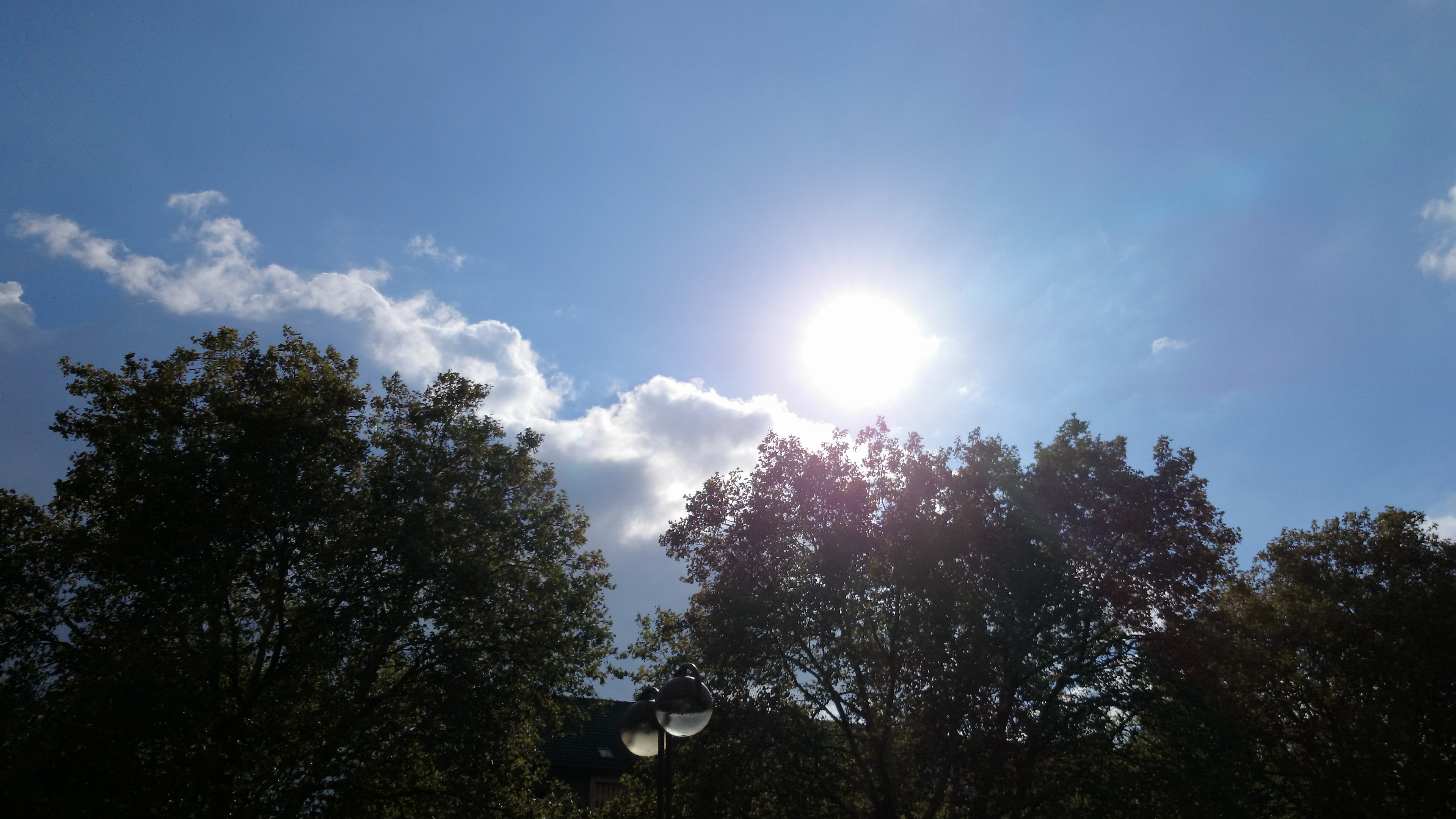 Xperia Z1 - Foto & Videoqualität-dsc_0424-1-.jpg