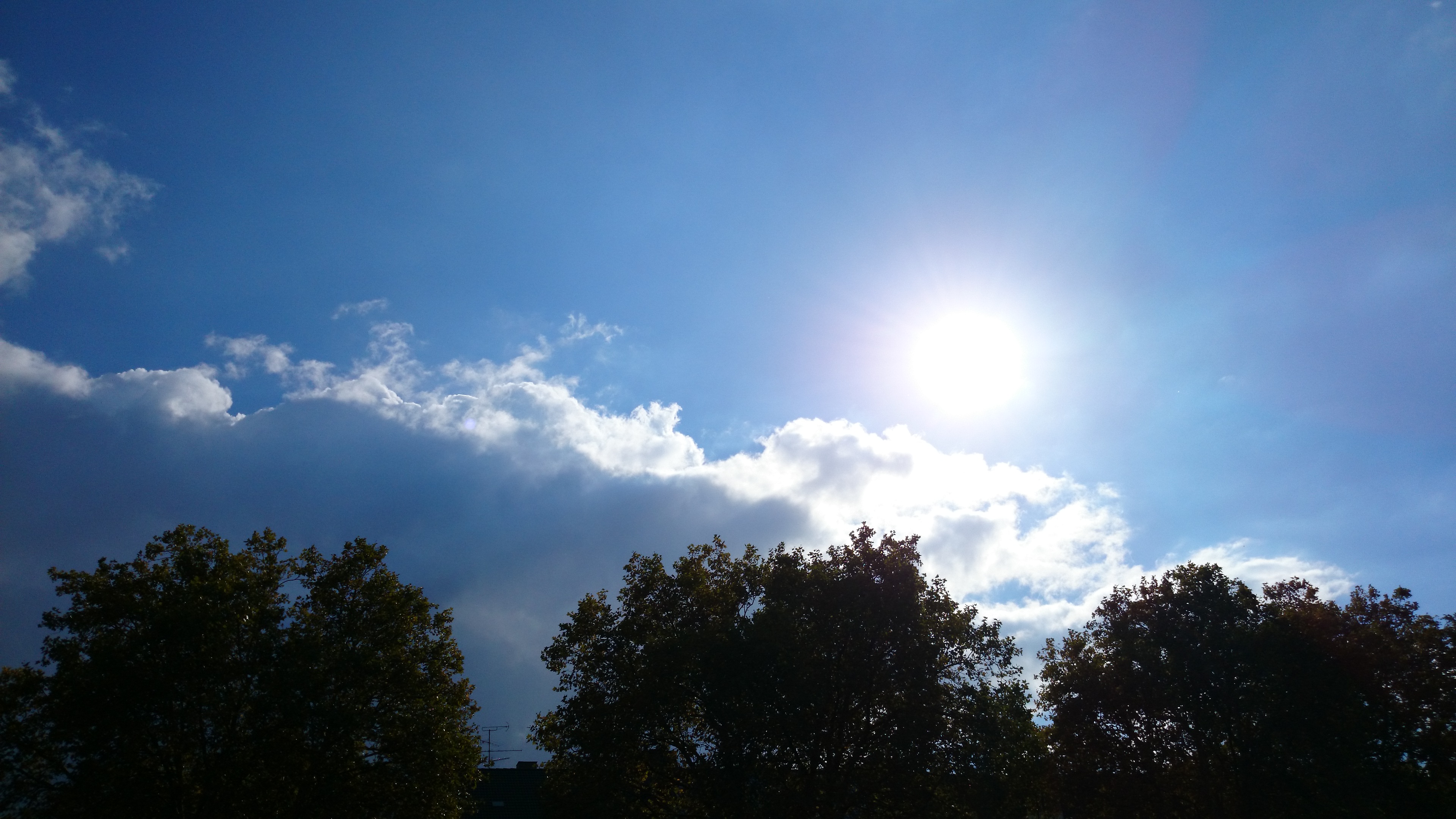 Xperia Z1 - Foto & Videoqualität-dsc_0425-1-.jpg