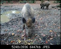 Xperia Z1 - Foto & Videoqualität-dsc_0455.jpg