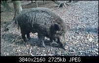 Xperia Z1 - Foto & Videoqualität-dsc_0452.jpg