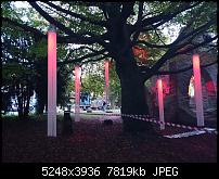 Xperia Z1 - Foto &amp; Videoqualität-dsc_0459.jpg