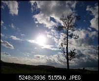 Xperia Z1 - Foto &amp; Videoqualität-dsc_0470.jpg