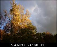Xperia Z1 - Foto &amp; Videoqualität-dsc_0474.jpg