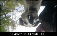 Xperia Z1 - Foto &amp; Videoqualität-dsc_0105.jpg