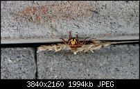 Xperia Z1 - Foto &amp; Videoqualität-dsc_0020.jpg