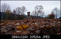 Xperia Z1 - Foto & Videoqualität-dsc_0146.jpg