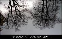 Xperia Z1 - Foto &amp; Videoqualität-dsc_0159.jpg