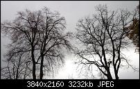 Xperia Z1 - Foto &amp; Videoqualität-dsc_0152.jpg