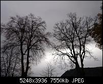 Xperia Z1 - Foto & Videoqualität-dsc_0153.jpg