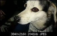 Xperia Z1 - Foto &amp; Videoqualität-dsc_0229.jpg