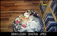 Xperia Z1 - Foto & Videoqualität-dsc_0213.jpg