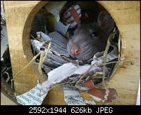 X Z1 wirklich empfehlenswert?-dsc_2572.jpg