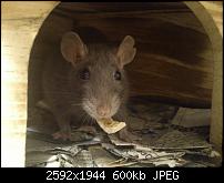 X Z1 wirklich empfehlenswert?-dsc_2671.jpg