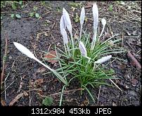 Xperia Z1 - Foto & Videoqualität-uploadfromtaptalk1391786166207.jpg