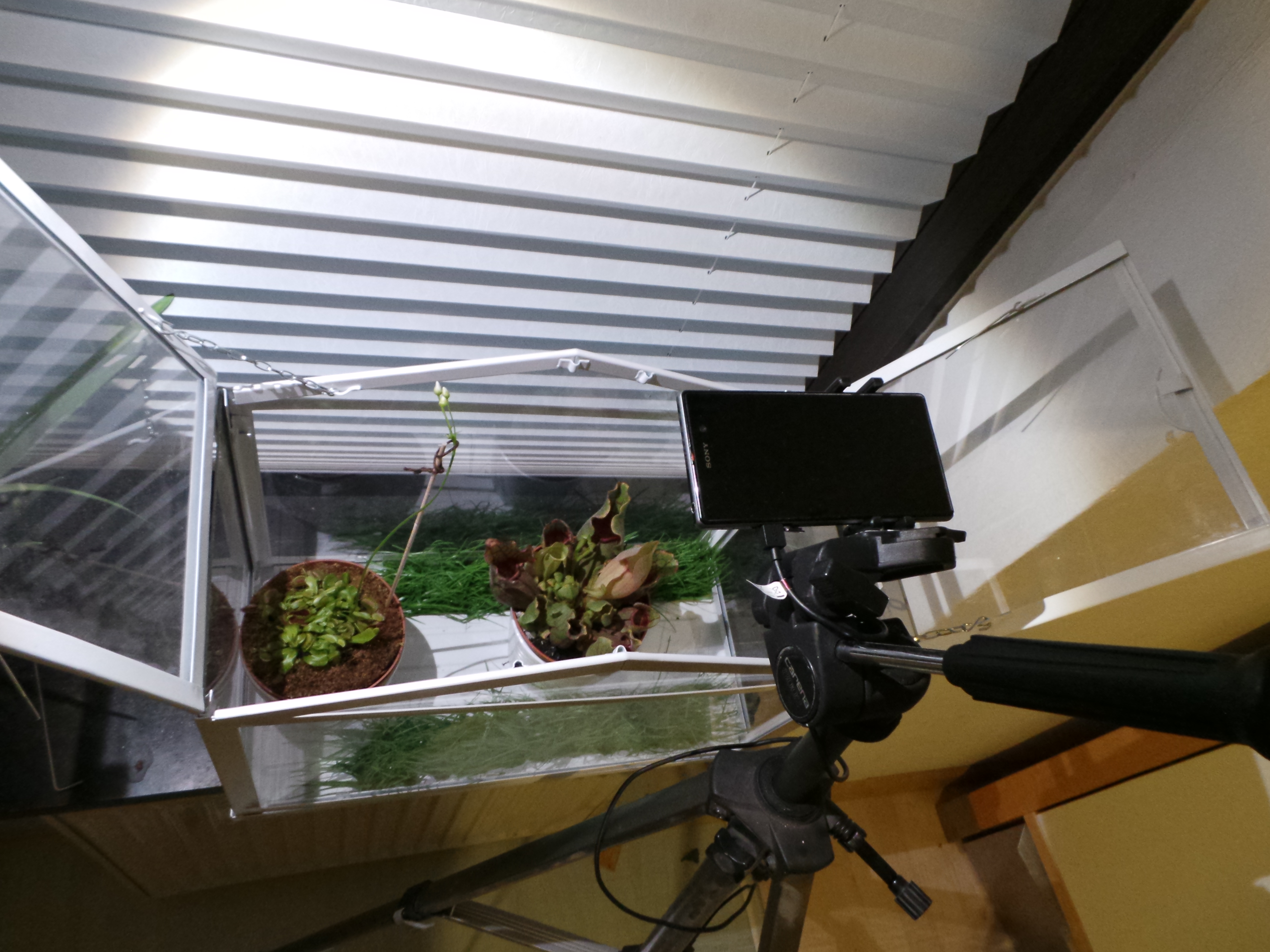 Xperia Z1 - Foto & Videoqualität-20140219_180125.jpg