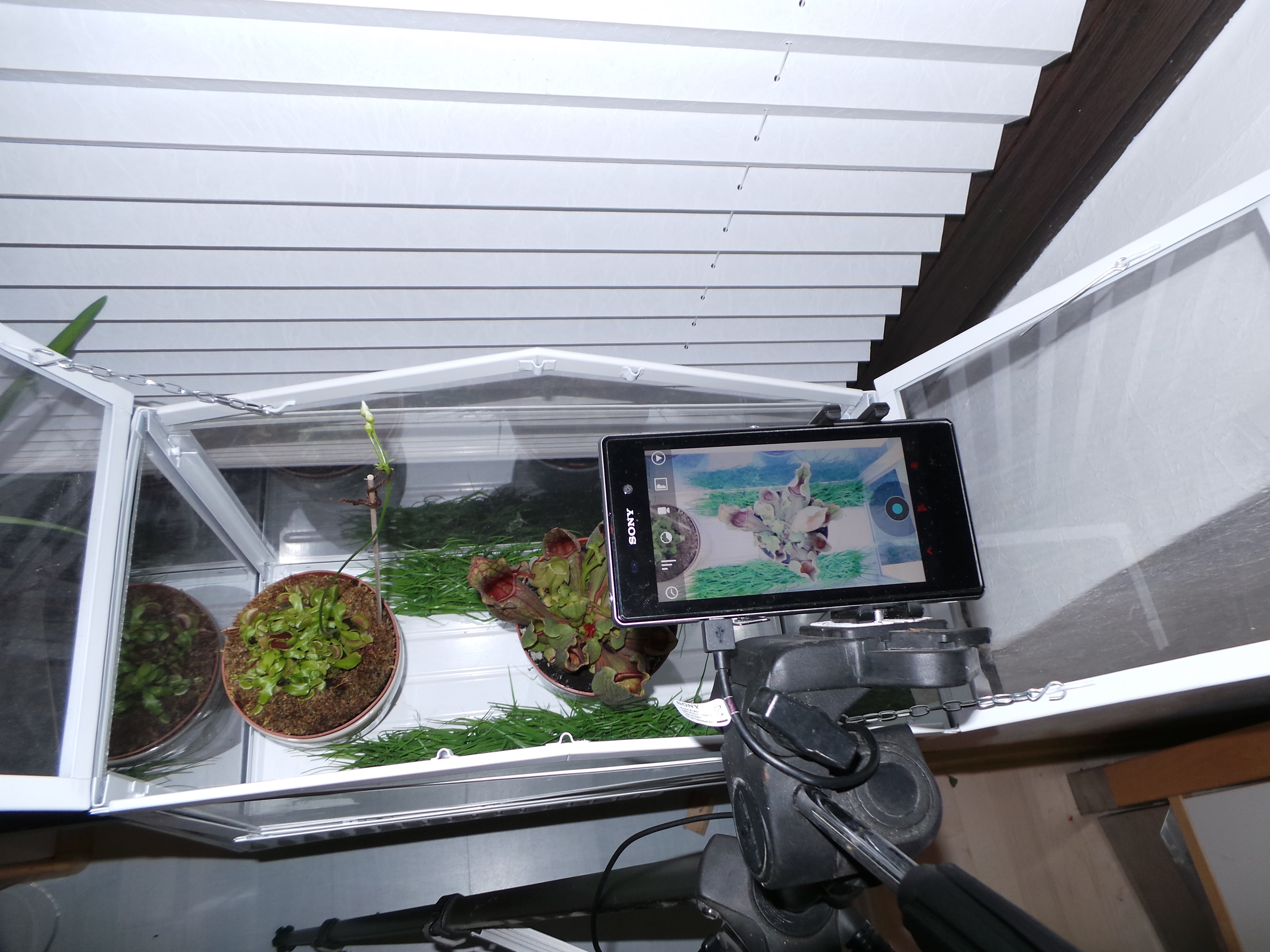 Xperia Z1 - Foto & Videoqualität-20140219_180201.jpg