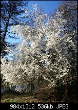 Xperia Z1 - Foto & Videoqualität-uploadfromtaptalk1394376051492.jpg