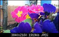 [Xperia Z1] Firmware Update Info-Thread-20140319_170904_android.jpg