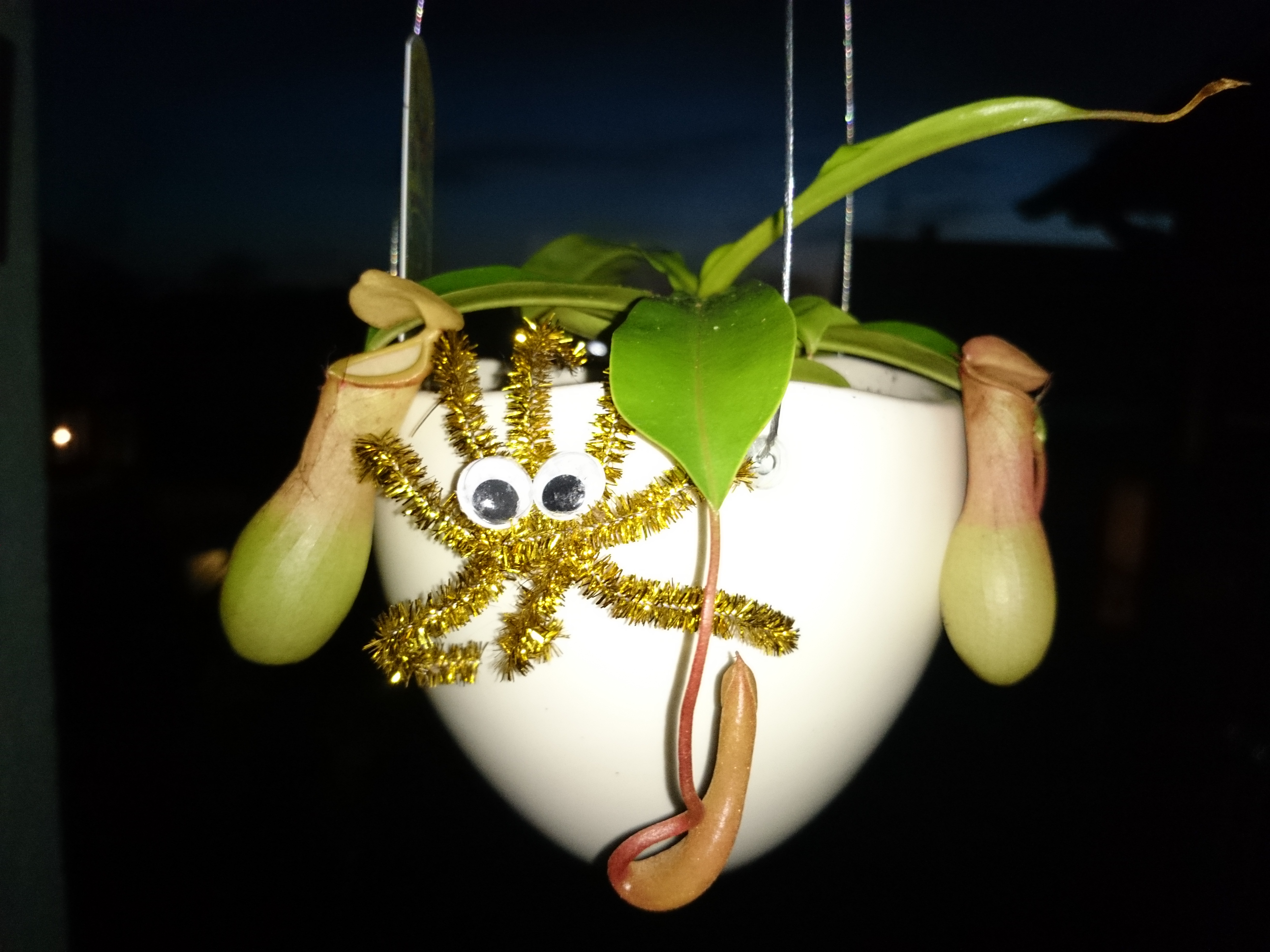 Xperia Z1 - Foto & Videoqualität-dsc_0140.jpg