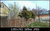 Xperia Z1 - Foto & Videoqualität-uploadfromtaptalk1396271978731.jpg