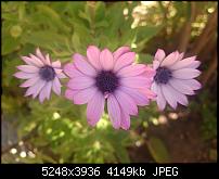 Xperia Z1 - Foto & Videoqualität-2014-03-28-12.22.23.jpg