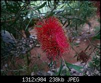 Xperia Z1 - Foto & Videoqualität-uploadfromtaptalk1402149070998.jpg