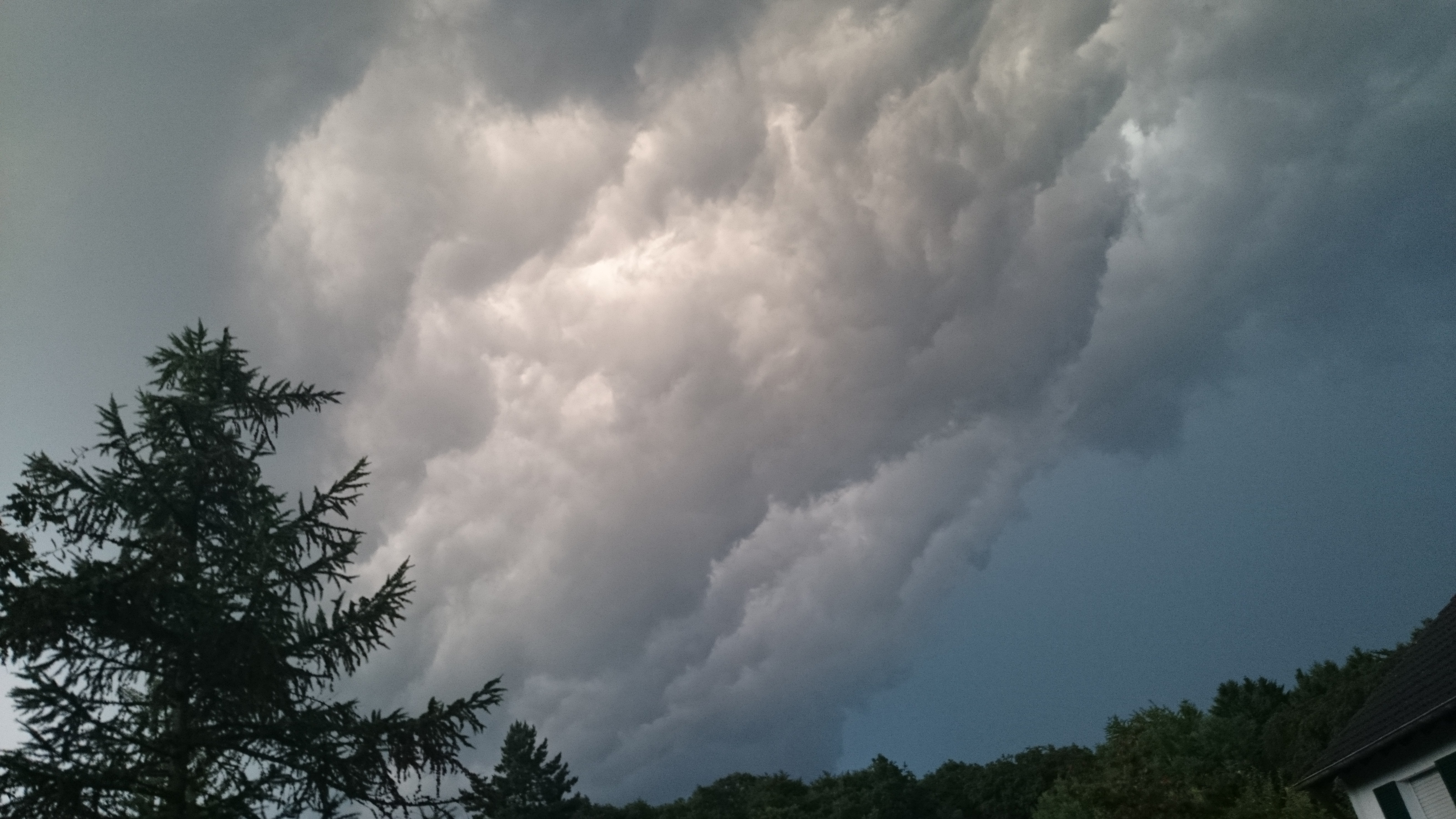 Xperia Z1 - Foto & Videoqualität-dsc_0425.jpg