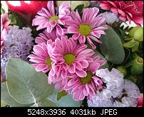 Xperia Z1 - Foto & Videoqualität-img_20150514_095507.jpg