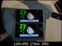 Fotos vom Sony Xperia Z2 (Sirius)-dsc_6292.jpg