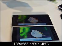 Fotos vom Sony Xperia Z2 (Sirius)-dsc_6299.jpg