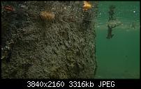 Sony Xperia Z2 - Fotoqualität-20140503_115332_android.jpg