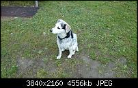 Sony Xperia Z2 - Fotoqualität-20140503_115137_android-1.jpg