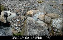 Sony Xperia Z2 - Fotoqualität-20140503_115154_android.jpg