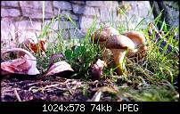 Sony Xperia Z2 - Fotoqualität-imageuploadedbypocketpc.ch1420809940.069036.jpg