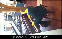 Sony Xperia Z3 Compact - Fotoqualität-20141001_162726_android.jpg