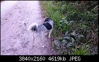 Sony Xperia Z3 Compact - Fotoqualität-20140929_170121_android.jpg