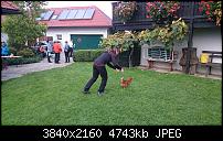 Sony Xperia Z3 Compact - Fotoqualität-20141004_162853_android.jpg