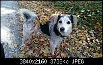 Sony Xperia Z3 Compact - Fotoqualität-20141010_133623_android.jpg