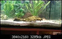 Sony Xperia Z3 - Fotoqualität-uploadfromtaptalk1412840690850.jpg