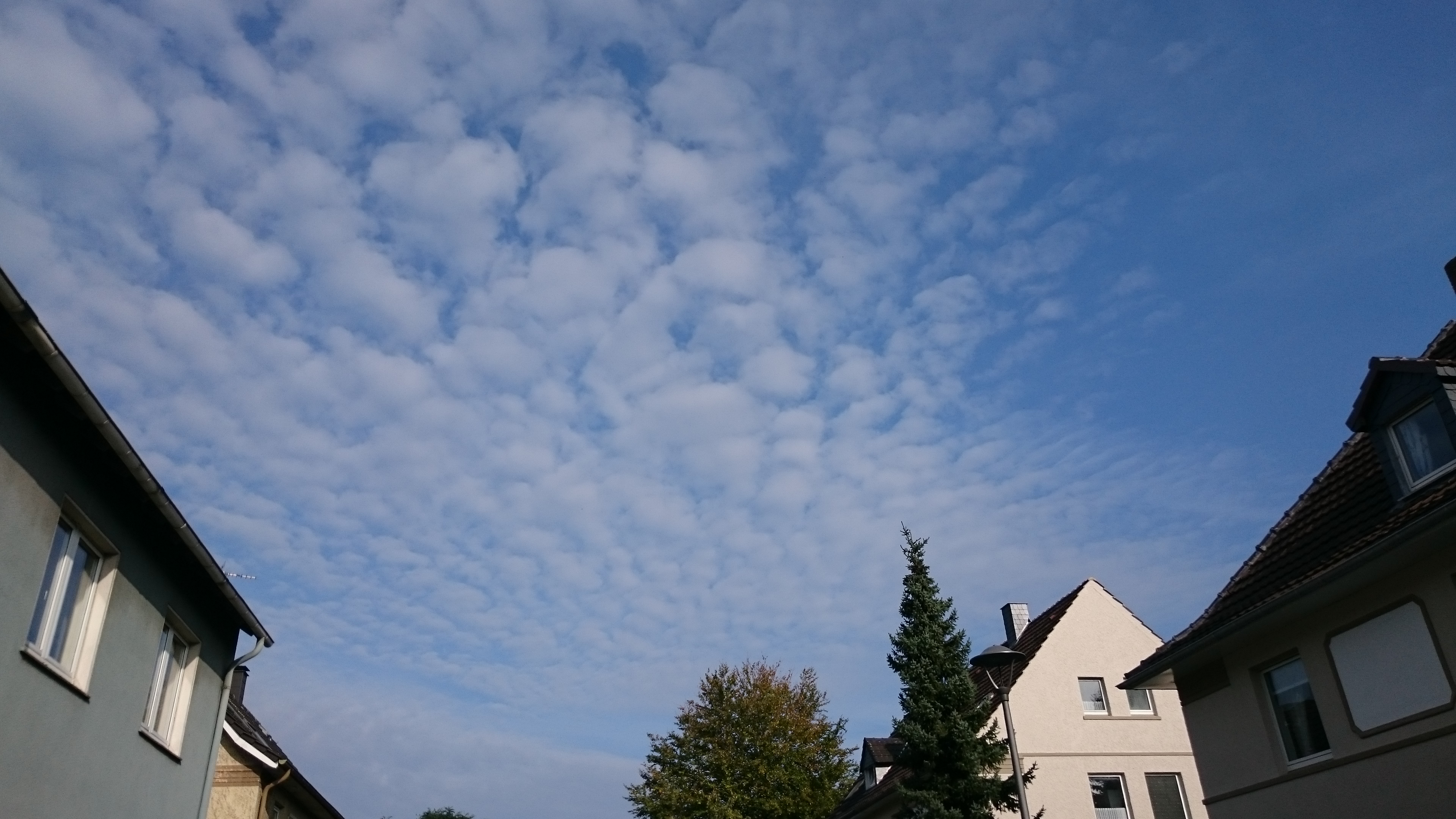 Sony Xperia Z3 - Fotoqualität-dsc_0782.jpg